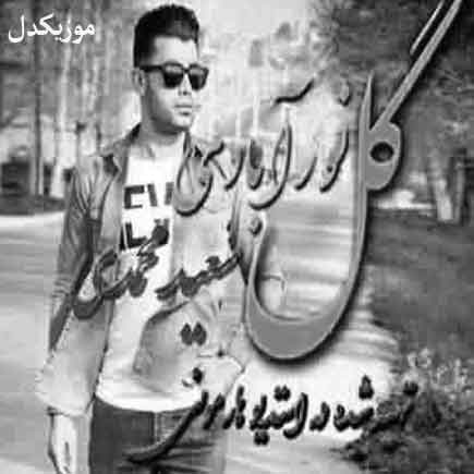 آهنگ سعید محمدی دی یه گلی های من مالمون