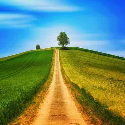 آهنگ علیرضا حسن زاده یالان یالان یالان