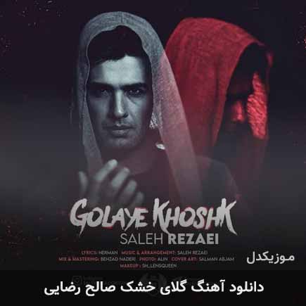 آهنگ صالح رضایی گلای خشک