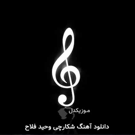 آهنگ وحید فلاح شکارچی