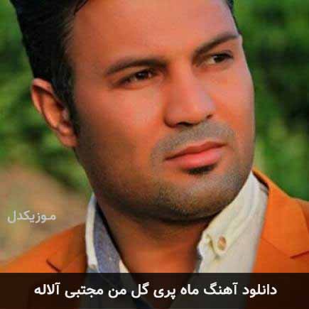 آهنگ مجتبی آلاله ماه پری گل من