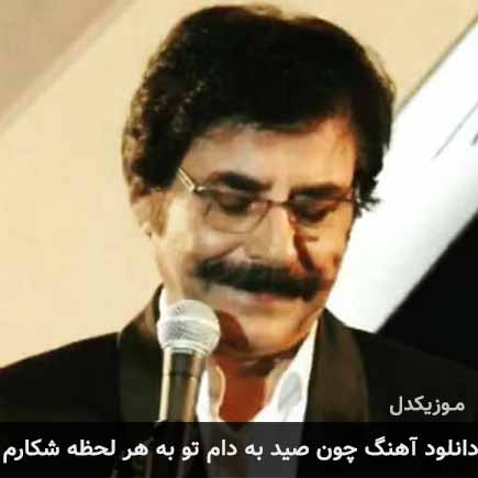 آهنگ علیرضا افتخاری چون صید به دام تو به هر لحظه شکارم