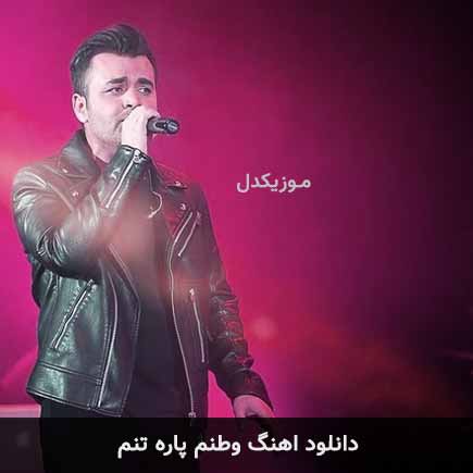 آهنگ میثم ابراهیمی وطنم پاره تنم