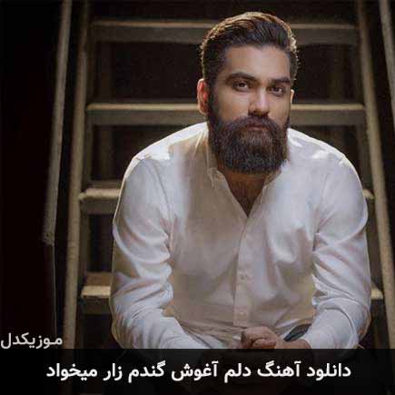 آهنگ علی زند وکیلی دلم آغوش گندم زار