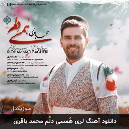 آهنگ محمد باقری هُمسی دلُم