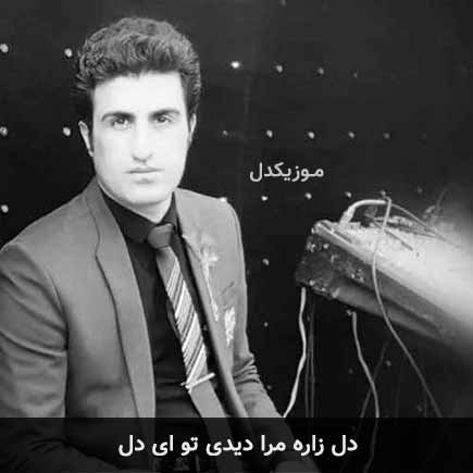 آهنگ محسن لرستانی دل زاره مرا دیدی تو ای دل