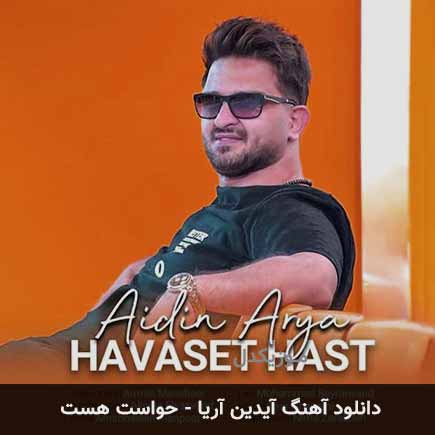 آهنگ آیدین آریا حواست هست