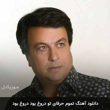 آهنگ امیر شاملو تموم حرفای تو دروغ بود