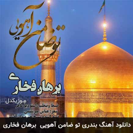 آهنگ برهان فخاری تو ضامن آهویی