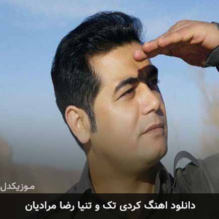 آهنگ رضا مرادیان تک و