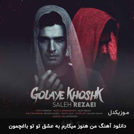 آهنگ صالح رضایی من هنوز میکارم به عشق تو تو باغچمون