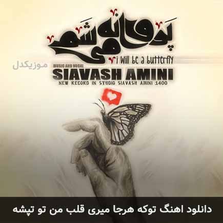 آهنگ سیاوش امینی تو که هرجا میری قلب من تو تپشه