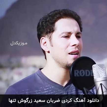 آهنگ سعید زرگوش تنها ضربان