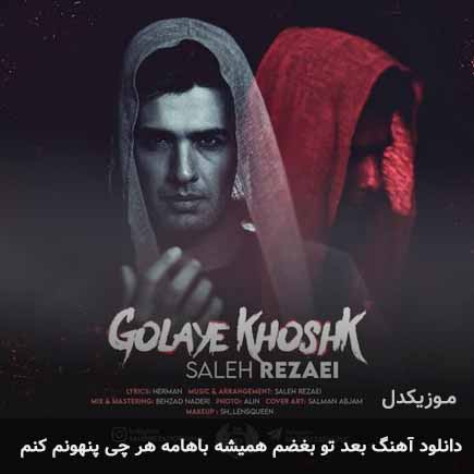 آهنگ صالح رضایی بعد تو بغضم همیشه باهامه
