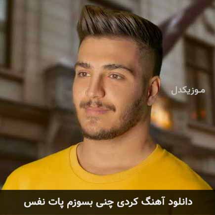 آهنگ آرمین برمایه چنی