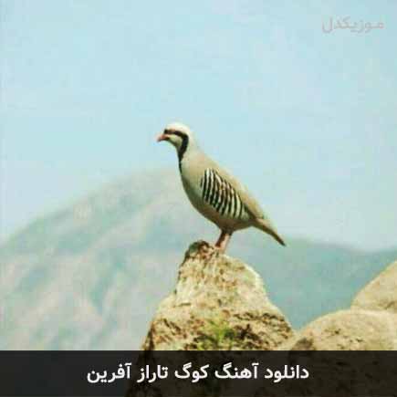 آهنگ آفرین کوگ تاراز