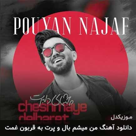 آهنگ پویان نجف من میشم بال و پرت به قربون