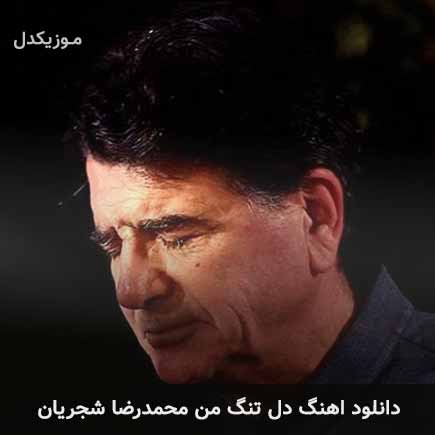 آهنگ محمدرضا شجریان دل تنگ من
