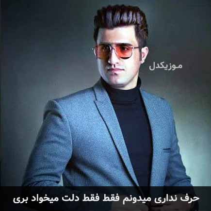 آهنگ محسن لرستانی حرف نداری میدونم فقط فقط دلت میخواد بری