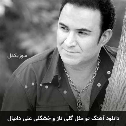 آهنگ علی دانیال تو مثل گلی