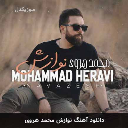 آهنگ محمد هروی نوازش