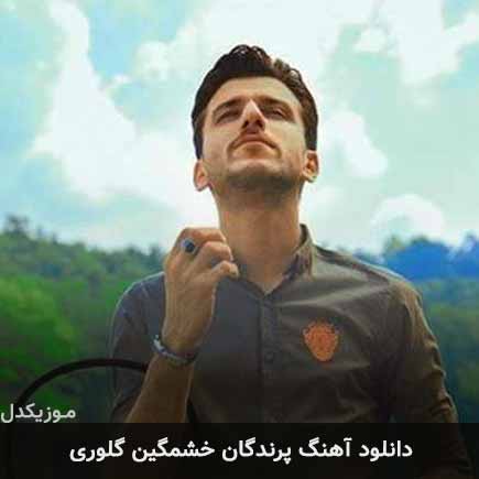 آهنگ پیمان پروانه پرندگان خشمگین