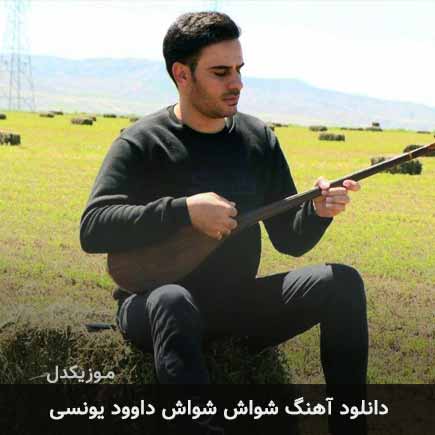 آهنگ داوود یونسی شواش شواش