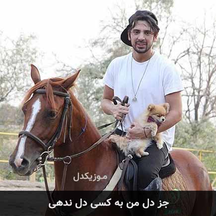 آهنگ امیرعباس گلاب جز دل من به کسی دل ندهی