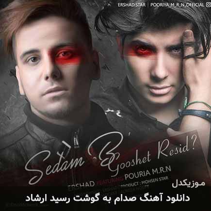آهنگ ارشاد صدام به گوشت رسید