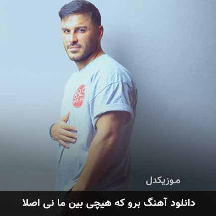 آهنگ آرمین زارعی برو که هیچی بین ما نی اصلا