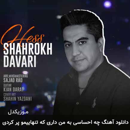 آهنگ شاهرخ داوری چه احساسی به من داری که تنهاییمو پر کردی