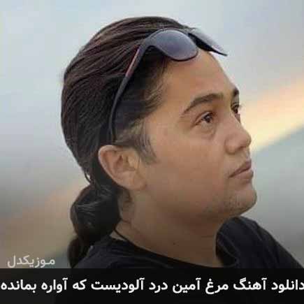 آهنگ امین بانی مرغ آمین درد آلودیست