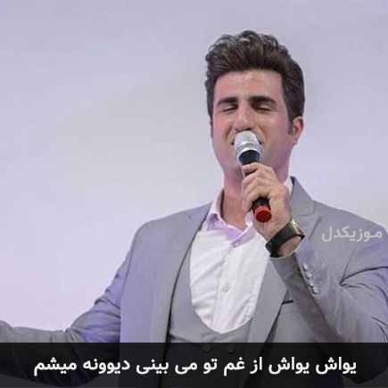 آهنگ محسن لرستانی یواش یواش از غم تو می بینی دیوونه