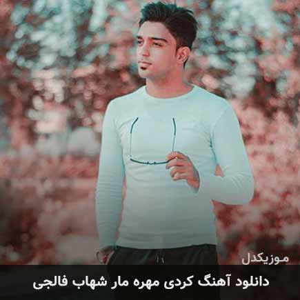 آهنگ شهاب فالجی مهره مار