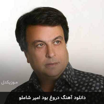 آهنگ امیر شاملو دروغ بود