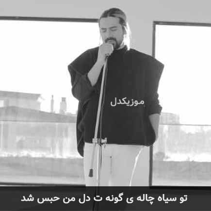 آهنگ امیرعباس گلاب تو سیاه چاله ی گونه ات دل من