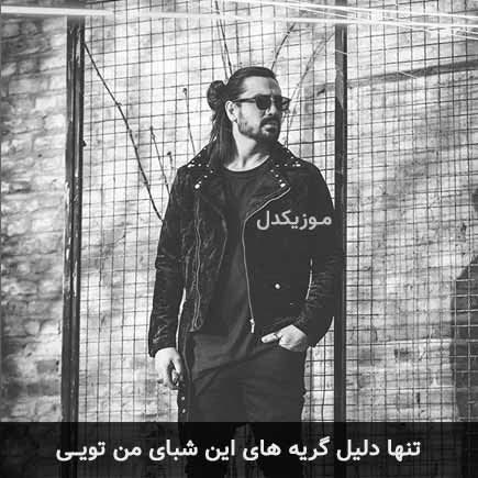 آهنگ امیرعباس گلاب تنها دلیل گریه های این شبای من