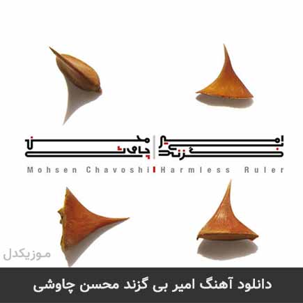 آهنگ محسن چاوشی امیر بی گزند