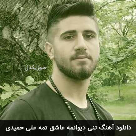 آهنگ علی حمیدی تنی دیوانمه