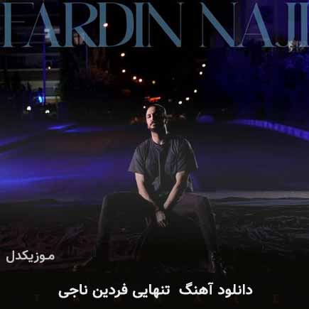 آهنگ فردین ناجی تنهایی