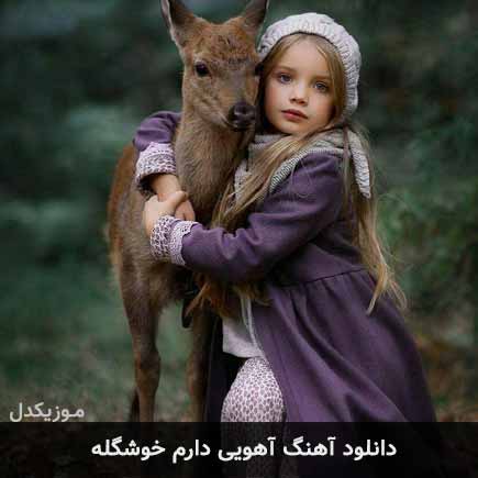 آهنگ آهویی دارم خوشگله