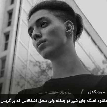 آهنگ امیر خوشنگار جای شیر تو جنگله ولی