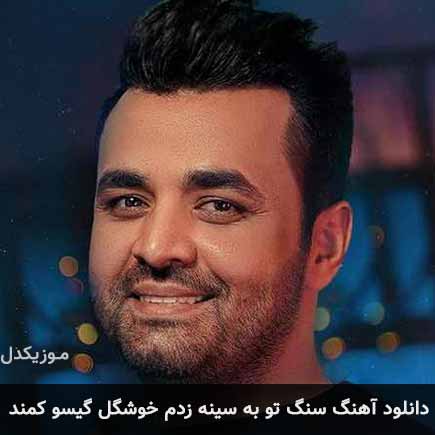 آهنگ میثم ابراهیمی سنگ تو به سینه زدم خوشگل گیسو کمند