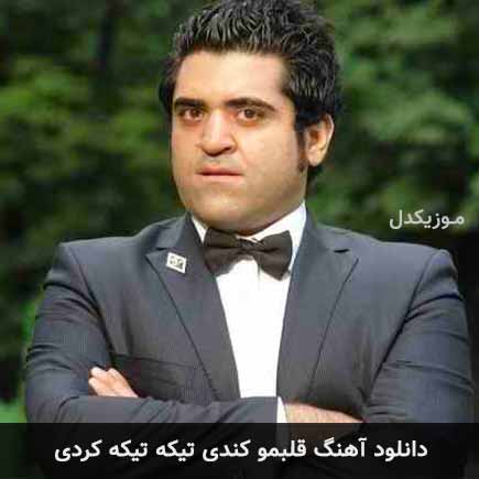 آهنگ محسن عرفانیان قلبمو کندی تیکه تیکه کردی