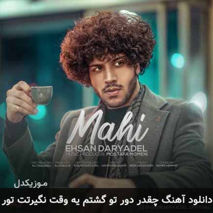 آهنگ احسان دریادل چقدر دور تو گشتم یه وقت نگیرتت تور