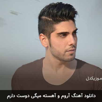 آهنگ رامین بی باک آروم و آهسته میگی