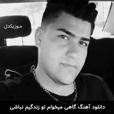 آهنگ حسین آستانی گاهی میخوام تو زندگیم نباشی
