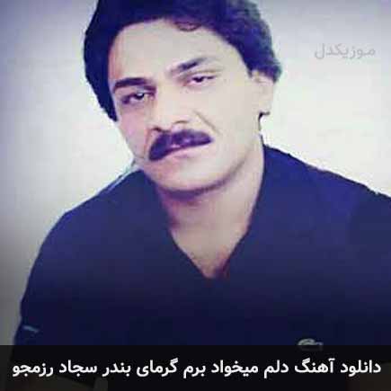آهنگ سجاد رزمجو دلم میخواد برم