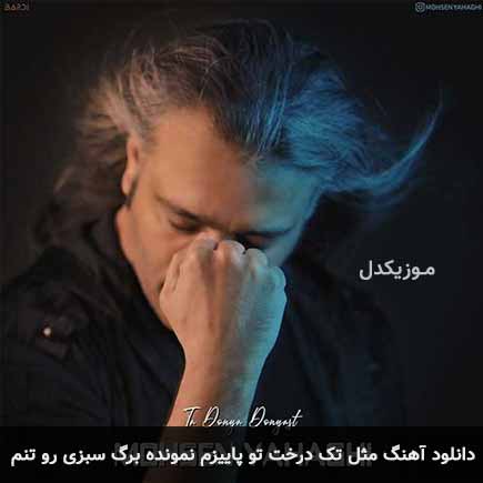آهنگ محسن یاحقی مثل تک درخت تو پاییزم نمونده برگ سبزی رو تنم