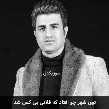 آهنگ محسن لرستانی توی شهر چو افتاد که فلانی بی کس شد